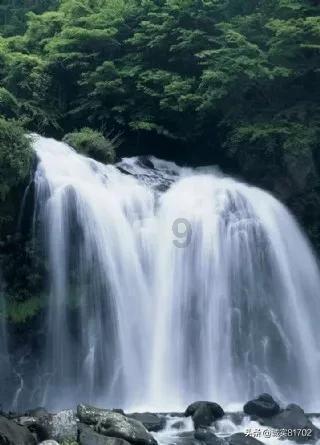 你认为还有哪些大学专业「实用性」较差？