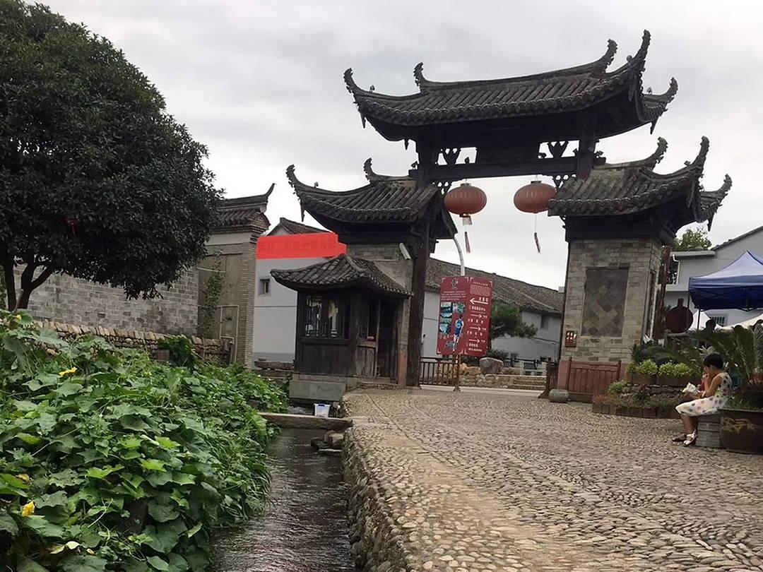 破碎的动物图形